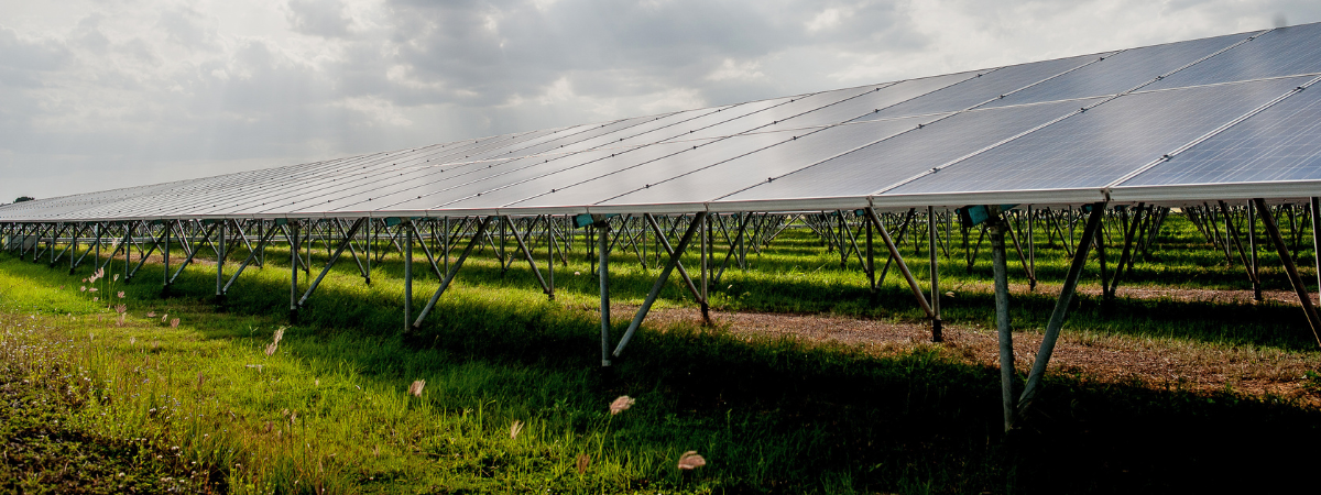 La apuesta obligada: por qué las granjas solares y eólicas definirán la competitividad energética del país